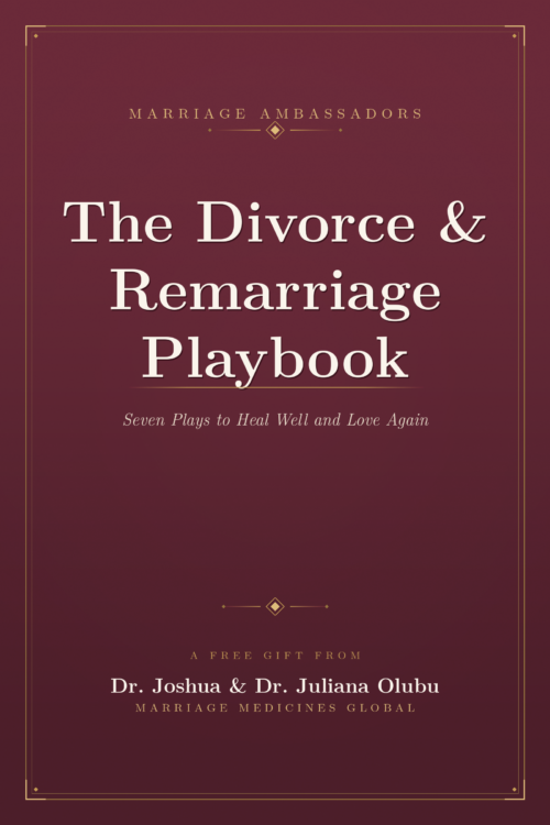 The Divorce & Remarriage Playbook