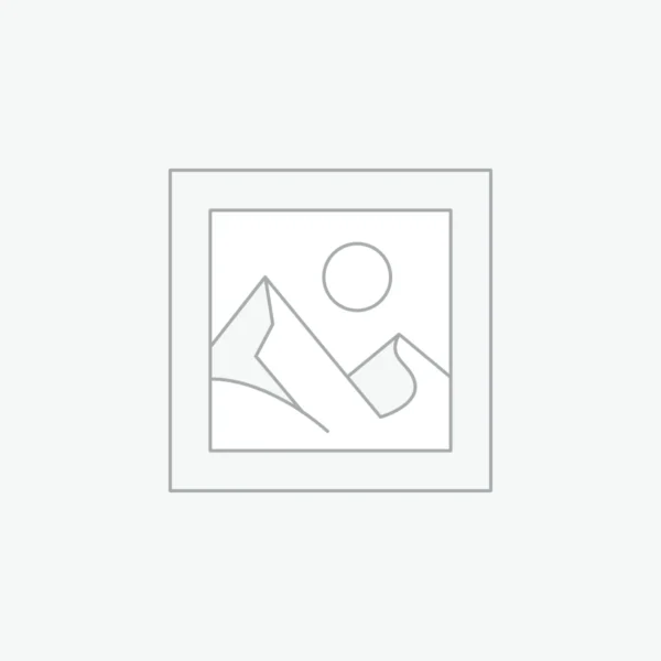 woocommerce-placeholder The Single Father's Playbook